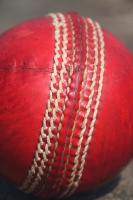 Balle de cricket personnalisée en cuir véritable pour l'entraînement des adultes - Durable, cousue à la machine, couleur et logo personnalisés, 156 g