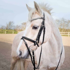 ส่องแสง browband คุณภาพสูงหนังแท้หนังม้าหนังแท้หนังม้าคุณภาพสูงหนังแท้ม้า - Product Image 5