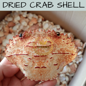 <b>Crab</b> <b>Shell</b> High Quality / Dried <b>Crab</b> <b>Shell</b> for Foodstuff From Vietnam - Product Image 3