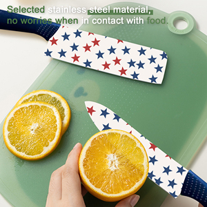 Cuchillo Gyuto Profesional en Existencia, Hoja de Cerámica, Mango de Plástico, Ambidiestro, Apto para Lavavajillas, Duradero, Precio de Fábrica, Envío Gratuito - Product Image 4