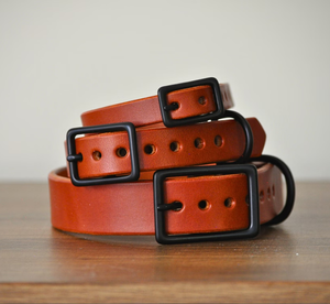 Boucle en laiton massif et anneau en D fabriqués à la main estampillés sur mesure de haute qualité collier de chien en cuir vert pour lévrier et Whippet - Product Image 2