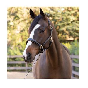 เชือกแขวนคอเบาะหนังสีดำทรงกรวยพร้อมท่อสีทองทองเหลืองสำหรับแข่งม้า - Product Image 3