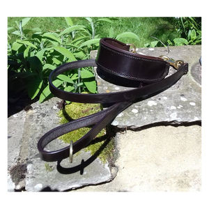 OT selling-collar para mascotas con estampado de diseñador lujoso, collar para mascotas - Product Image 2