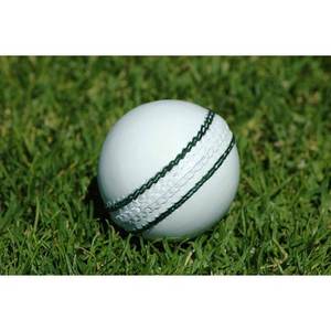 Pelota de cricket para entrenamiento deportivo en interiores y exteriores, pelotas de entrenamiento suaves portátiles para balanceo de viento, rebote, giro - Product Image 3