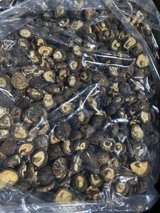 Champignons Shiitake Séchés du Vietnam Haute Qualité Arôme Naturel Commande en Gros Direct Usine - Product Image 4