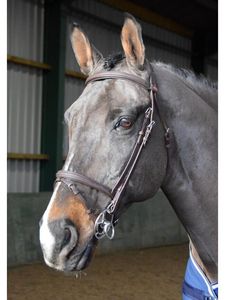 Fabricant de bridons de dressage anatomique Bride en cuir indien Logo personnalisé Western Horse Headstall and Rein with Snaffle - Product Image 5