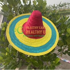 Sombreros de paja naturales Sombrero de paja para mujer Sombreros de paja con logotipo personalizado en Vietnam por Eco2go Vietnam - Product Image 2