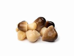 SETA PAJA SECADA AL SOL/LIGERAMENTE SALADA/ETIQUETA LIMPIA/LISTO PARA COCINAR - Product Image 6