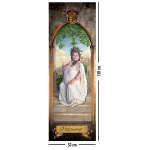 Pour Harry Potter Langbaanposter Password? Drapeaux et bannières promotionnels durables Fortuna Major - Product Image 5