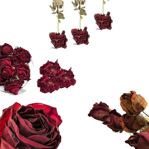 ดอกกุหลาบสีแดงแห้ง | ใช้ในสูตรเครื่องสำอางแบบทำมือ - Product Image 6