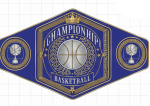 เข็มขัดแชมป์บาสเก็ตบอลแบบกำหนดเอง เข็มขัดแชมป์สำหรับผู้ใหญ่ แบบยูนิเซ็กซ์ สำหรับเทควันโดและ MMA - Product Image 2