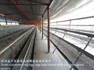 Complete Sets NEW Poultry Battery Operated Animal <b>Cage</b> System for Chicken Egg Layer Chickens Enhanced Readability Visibility for - Product Image 6