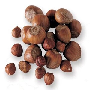 Noix de hêtre brutes de qualité supérieure en gros, provenant d'Ouzbékistan, noix de hêtre séchées biologiques, meilleurs prix pour usage alimentaire, en vente - Product Image 2