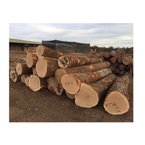 Dried Oak Wood <b>Logs</b> - Kiln Dried - Wholesale Price Supply - Product Image 2