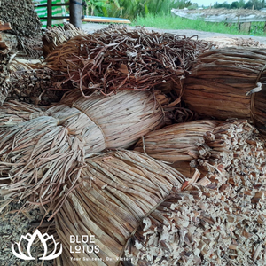 ผักตบชวาแห้งจากเวียดนาม - Product Image 5