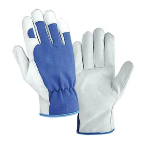 Customized Professional Manufacture New Style Goat Skin Leather Soft Driver Gloves With Wholesale Price