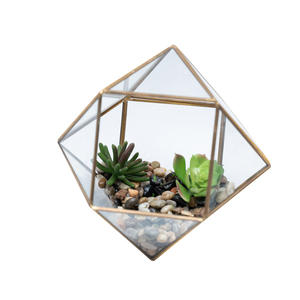Accessoires de décoration de café ou de café de qualité supérieure Vente chaude Terrarium en verre de forme irrégulière Terrarium en verre transparent - Product Image 4