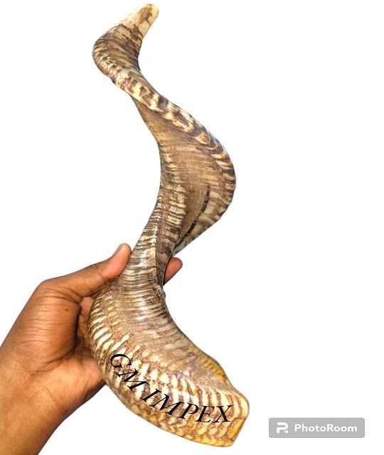 ธรรมชาติ