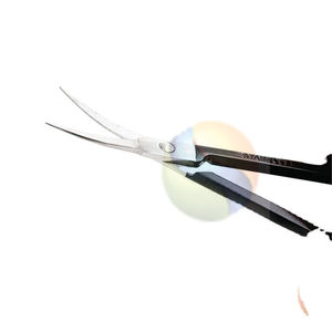 Tijeras para Cutículas de Precisión, Herramienta de Manicura de Acero Inoxidable, Tijeras para Cutículas Curvas EliteEdge |   Uñas Profesionales - Product Image 2