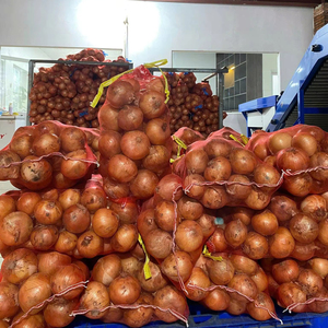 Cebollas frescas a granel del proveedor Bao Tram Anh Vietnam Producto agrícola - Product Image 1