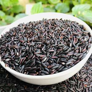 Arroz Glutinoso Negro Seco - Arroz Duro de Alta Nutrición de Vietnam - Product Image 2