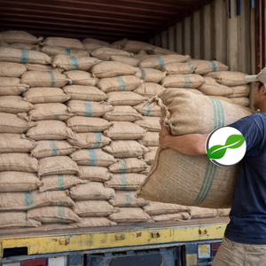 Piment de la Jamaïque d'Indonésie AD, noix de muscade entière brute séchée - Product Image 5