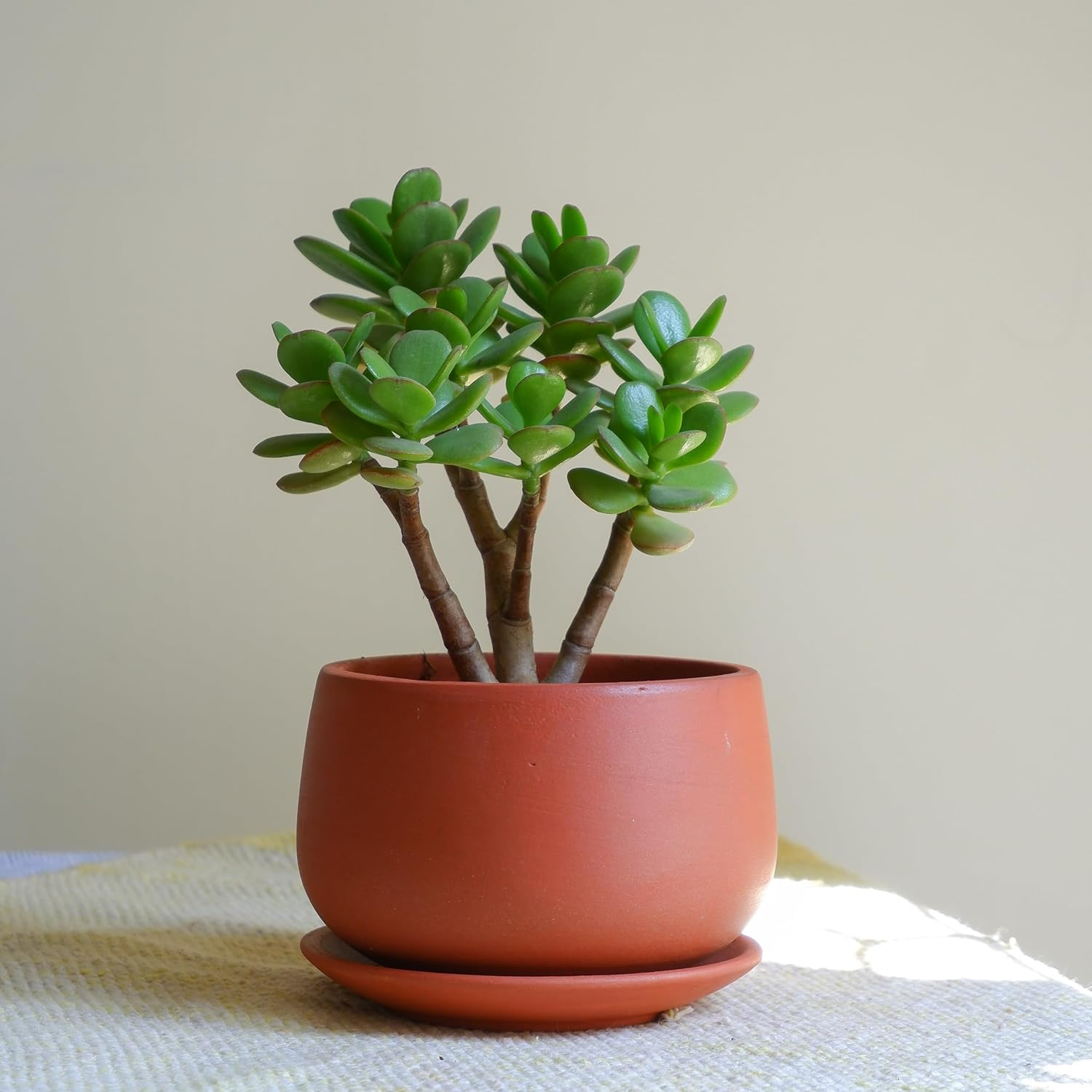 สีน้ำตาล