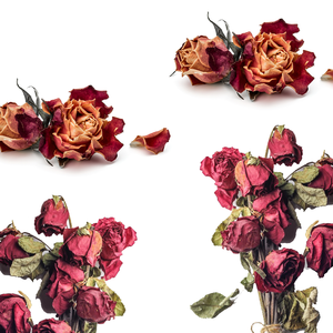 Fleur de rose séchée pure | Pétales rouges pour kits faciaux et thérapie de bain - Product Image 4