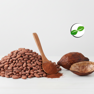Fèves de cacao non fermentées de qualité supérieure d'Indonésie, meilleur prix, approvisionnement en vrac pour l'exportation depuis l'île de Bali - Product Image 3