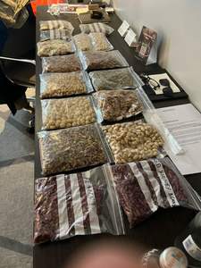 Contenedores Refrigerados MQA Usados de 20 pies de la Mejor Calidad, en Nueva Condición, de Acero y Acero Corten, 28.4CBM, en Venta - Product Image 2