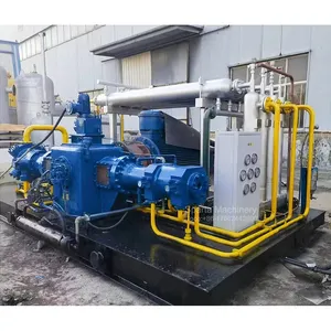 CNG LPG Used Special Gas Air Compressor For Manufactory 5.5KW To 132KW