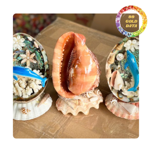 Coquille d'ormeau rayonnante du Vietnam | Article écologique Pour les accessoires faits à la main et la décoration intérieure | En vrac disponible - Product Image 5