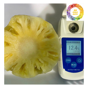 แหวนสับปะรดแช่แข็ง iqf ขายร้อนขาย iqf สับปะรดแช่แข็งที่ลูกเต๋าติดรูปร่างหั่นบางๆสับปะรดแช่แข็งแสนอร่อยเพื่อการส่งออก - Product Image 3