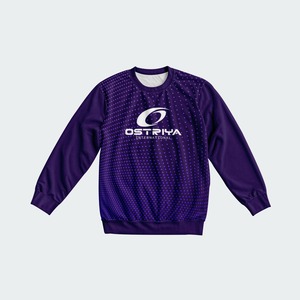 Nuevo Diseño, Sudadera de Forro Polar para Hombre, 100% Poliéster, Cuello Redondo, Corte Regular, Manga Larga, Estilo Urbano, Transpirable, 250g - Product Image 3