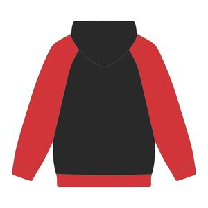 Sweat à capuche à manches raglan en chenille brodée pour femmes, style universitaire, motif sororité grecque Delta Divine Nine, idéal pour les étudiantes des HBCU - Product Image 3