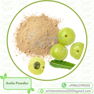 ผงสมุนไพรธรรมชาติ Amla ทำให้ผมเงางามบำรุงหนังศีรษะให้ความสดชื่นแก่ผิวใช้เป็นประจำทุกวันเพื่อรองรับการดีท็อกซ์ - Product Image 3