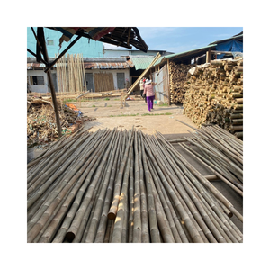 Mejor relación calidad-precio: estacas de bambú de gran venta para apoyar las plantas - Product Image 1