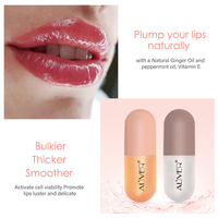 Ensemble de repulpeurs de lèvres à double effet personnalisés Aliver, soin hydratant pour les lèvres jour et nuit, liquide, 2 pièces