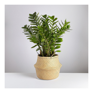 ที่จัดระเบียบสำนักงานสไตล์คันทรี ทำจากไม้ไผ่ธรรมชาติ รุ่น SF2030 จากเวียดนาม ดีไซน์ยืดหยุ่น เป็นมิตรกับสิ่งแวดล้อม ทนทาน น้ำหนักเบา - Product Image 1