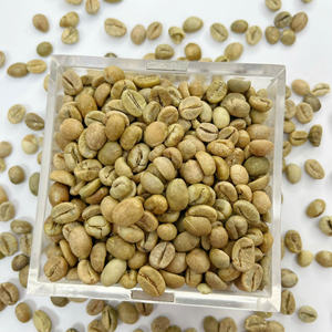 Solutions de café personnalisées Robusta du Vietnam pour les marchés mondiaux Commandes en gros Options d'emballage flexible - Product Image 6