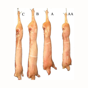 Viande congelée bon marché, porc congelé de qualité supérieure, viande congelée d'origine, carcasse coupée à 6 voies - Product Image 5