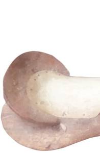 Meilleure vente Premium de haute qualité fibre de verre cheval selle arbre modèle tour race anglais course de chevaux produits de l'Inde - Product Image 4