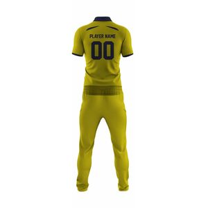 Vente en gros d'uniformes de cricket par sublimation avec logo personnalisé, col montant, cricket pakistanais et américain, 2026 d'Australie - Product Image 6
