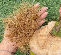 Fibre de noix de coco brute | Fibre de coco naturelle pour l'agriculture, l'horticulture, les matelas, les cordes et l'artisanat
