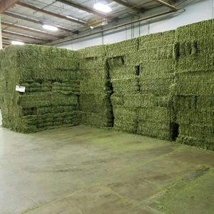 Direct Factory Price High Quality Alfalfa Hay for Horses Cattle Pigs Chicken-Bulk Wholesale Animal <b>Feed</b> Stuff Alfalfa hay - Product Image 2