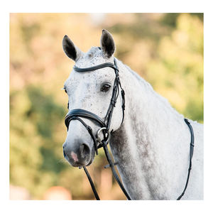 Ainsley-brida de cuero para caballo, calidad estándar - Product Image 3