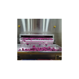 Dados de fruta de dragón congelados vietnamitas perfectos para batidos, cócteles, postres, exportación, procesamiento higiénico listo - Product Image 1