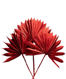 Feuilles de palmier Lance Feuilles de palmier naturelles Lance de palmier Fête des mères Saint Valentin Noël Merci Cadeaux pour chaque fois - Product Image 1