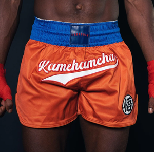 Pantalones cortos de lucha Muay Thai y MMA con estampado personalizado, pantalones cortos de entrenamiento de artes marciales para adultos Unisex, 80% poliéster, 20% Spandex de alta calidad - Product Image 2