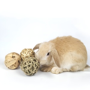 ลูกบอลฟางหวายธรรมชาติเป็นมิตรต่อสิ่งแวดล้อมสำหรับสัตว์เลี้ยงหนูแฮมสเตอร์ - Product Image 3